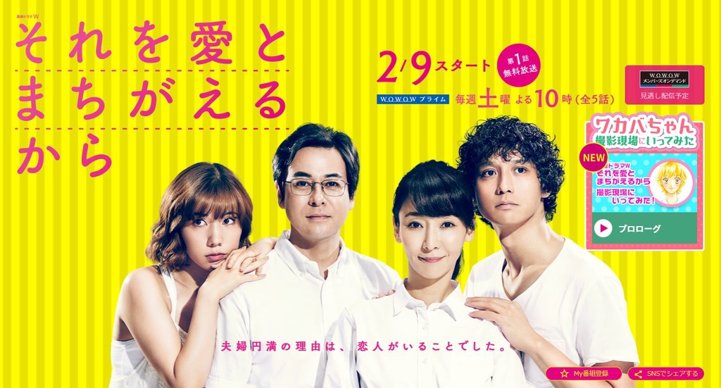 因為誤認那是愛.jpg - 日劇list用