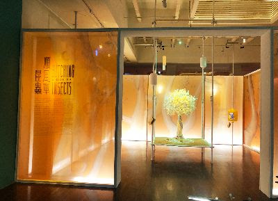 昆蟲與植物的愛戀變奏曲特展_昆蟲順風車 展區.jpg - 展覽藝術用