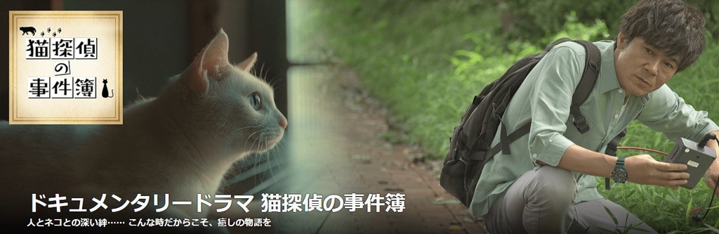 SP_貓偵探事件簿3.jpg - 日劇list用