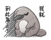messageImage_1631779626685.jpg - miya_database